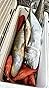 Shimano 17 Plays Electric Reel, 800/1000, Right Handle customer photo 2