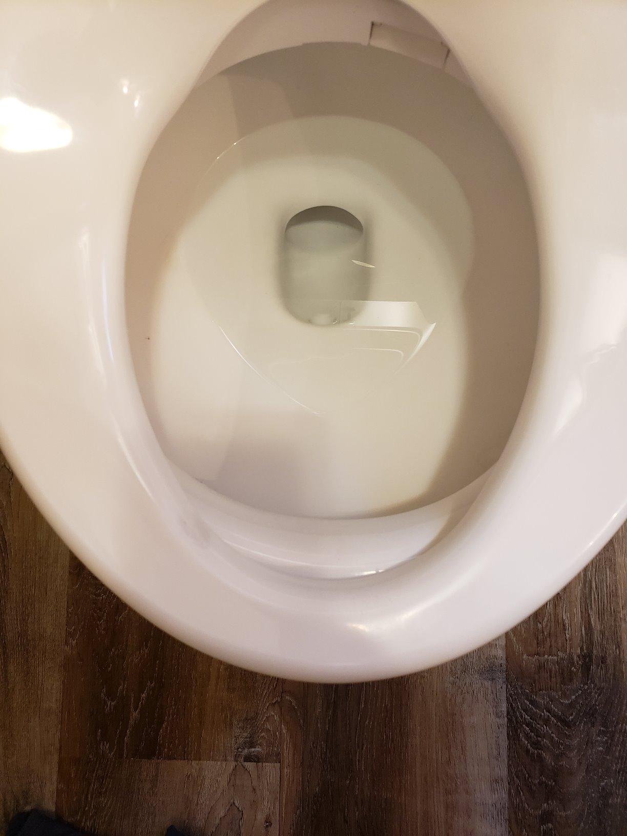 Brondell Bidet Toilet Seat S1400, Smart Toilet Seat, Dual Stainless-Steel, Self-Cleaning Nozzle With Clean Plus Technology, Endless Warm Water Bidet, Warm Air Dryer-Nightlight, Heated Seat, Elongated customer photo 1