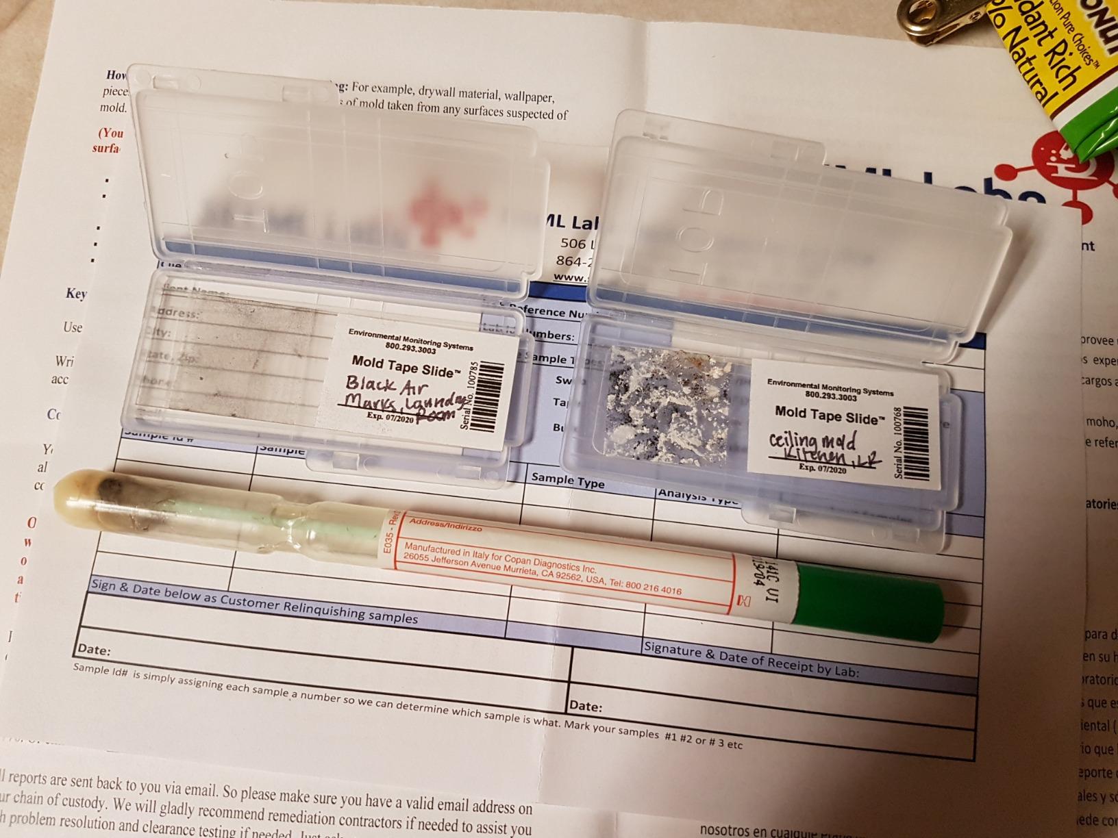 DIY Mold 3 Test Kit (Same Day Results) Expert Consultation and AIHA-LAP, LLC Accredited Lab Analysis Included customer photo 1