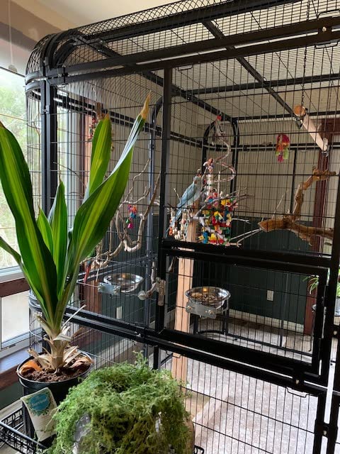 Large Walk-in Cages Heavy Duty Bird Cage Outdoor Aviary Parrot Macaw Conure Lovebird Pet House customer photo 2