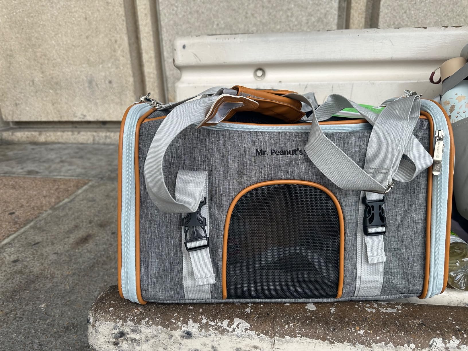 Mr. Peanut's Expandable Airline Approved Soft Sided Pet Carrier, Luxury Travel Tote with Premium Auto Self Locking Zippers, Plush Faux Fleece Bedding with Sturdy Plywood Base, 18LX10.5WX11 H customer photo 1