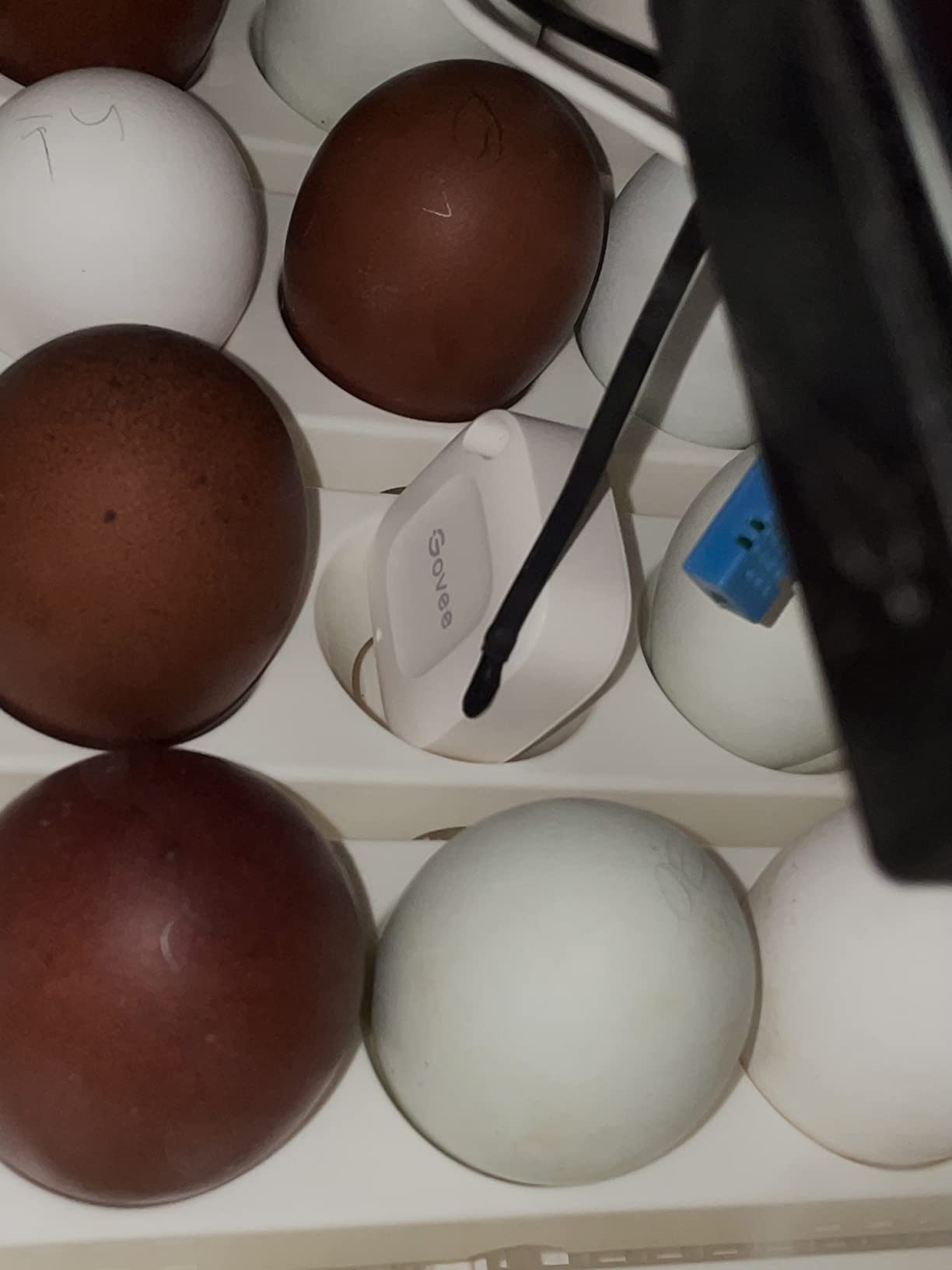 Farm Innovators Model 2450 Pro Series Digital Circulated Air Egg Incubator with Automatic Egg Turning and Humidity Control, 41 Egg Capacity customer photo 1