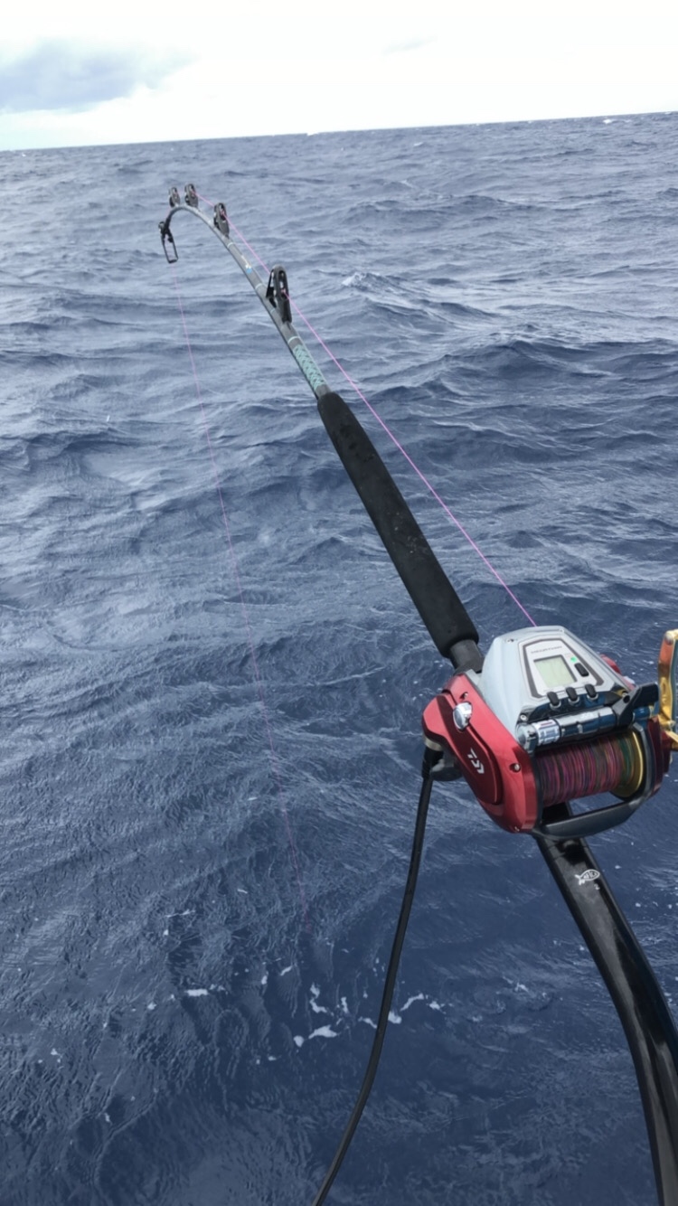 Daiwa Seaborg MJ Electric Reel customer photo 1