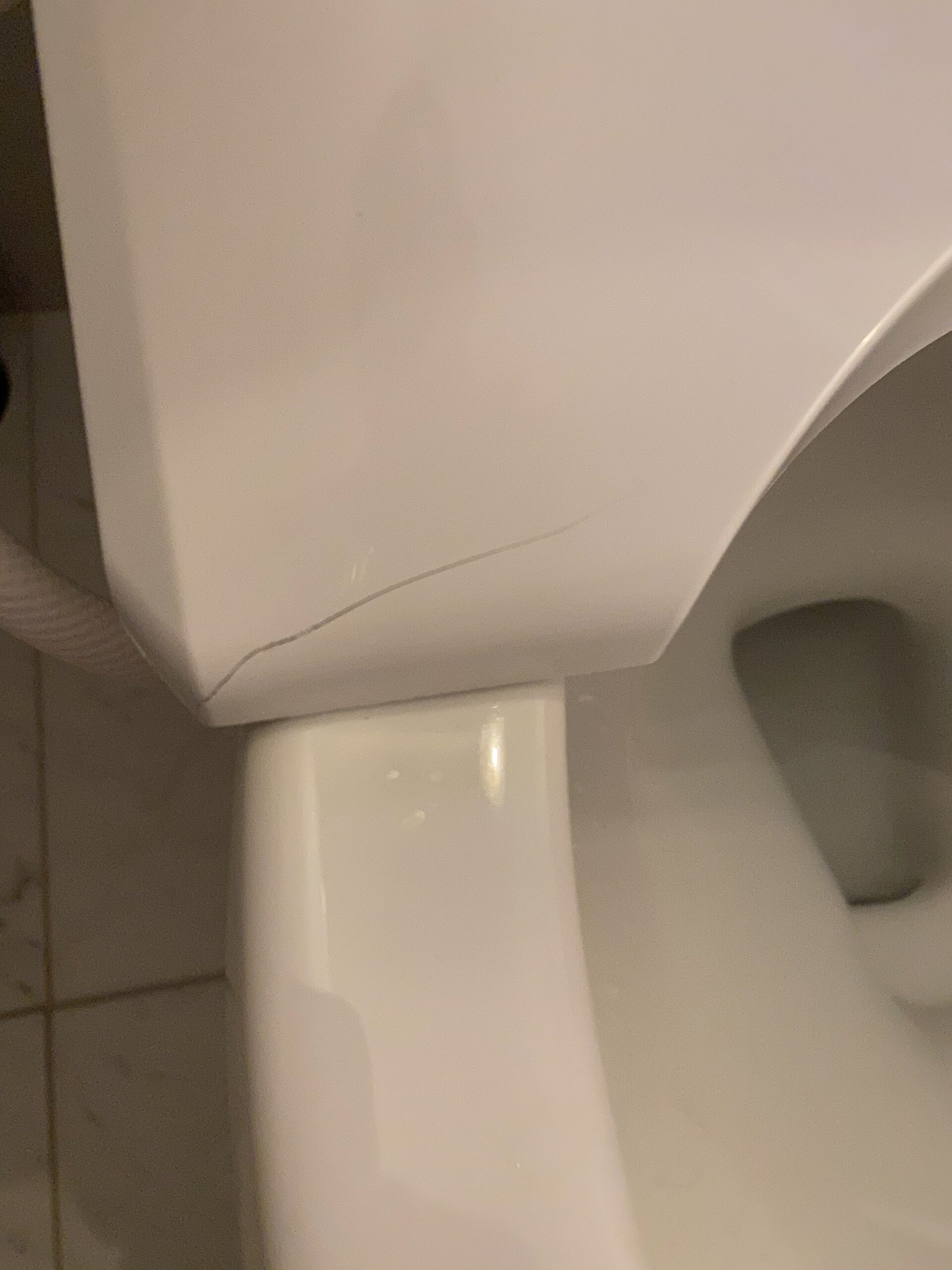 TOTO WASHLET S500e Electronic Bidet Toilet Seat with EWATER+ Bowl and Wand Cleaning, Classic Lid, Elongated, Cotton White customer photo 2