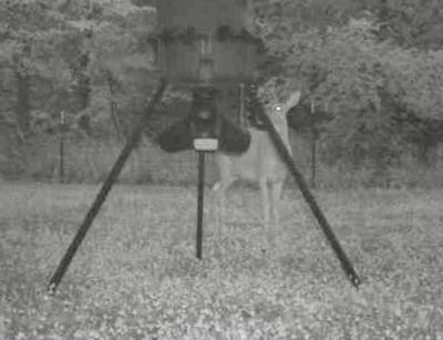 Moultrie Gravity Feeder Kit with Quick-Lock Adapter - No-Timer, No-Battery Gravity Feed for Corn or Protein Pellets customer photo 2
