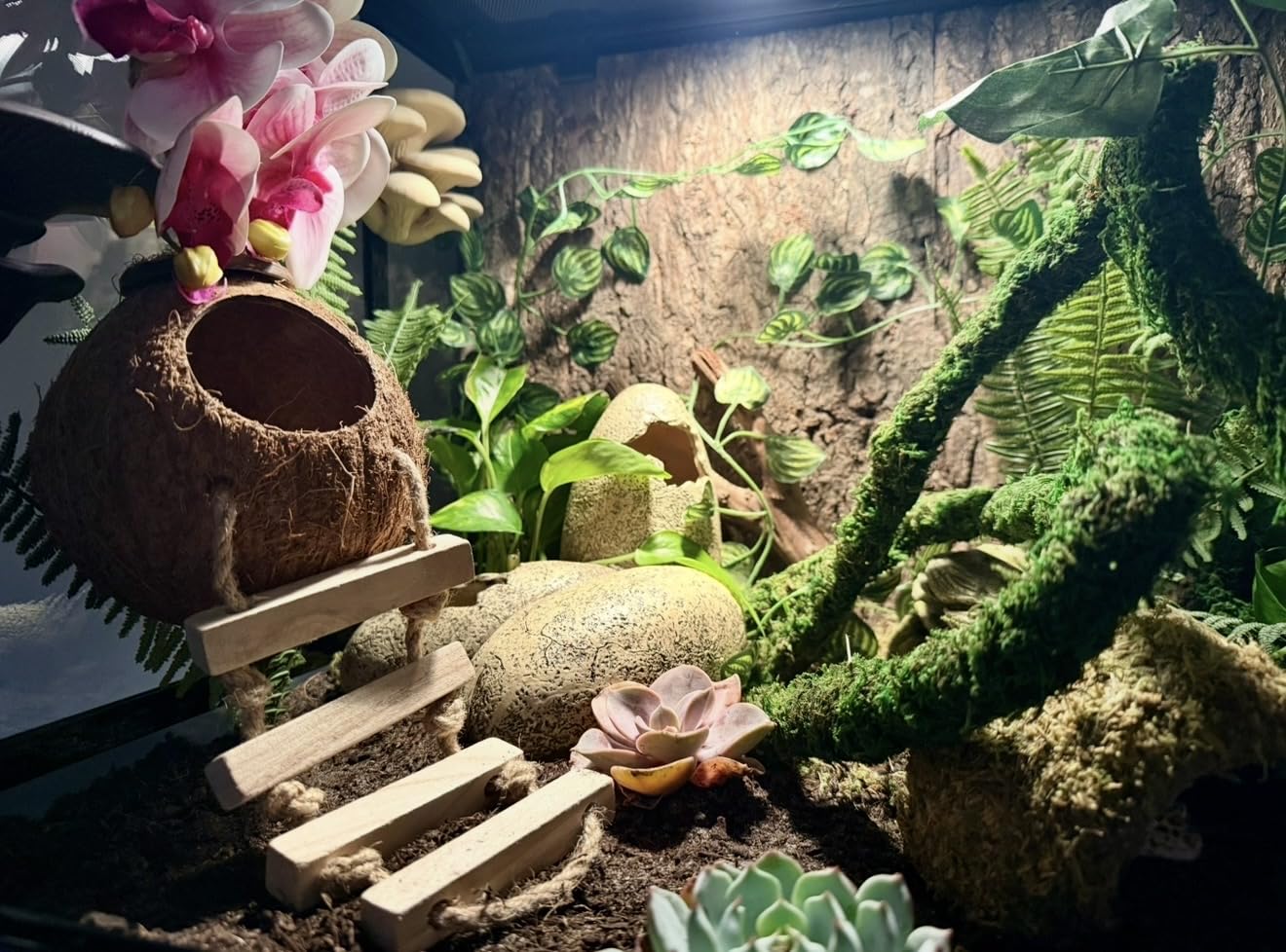 REPTIZOO Large Reptile Terrarium 120 Gallon, Tall & Wide Tempered Glass Reptile Tank 48