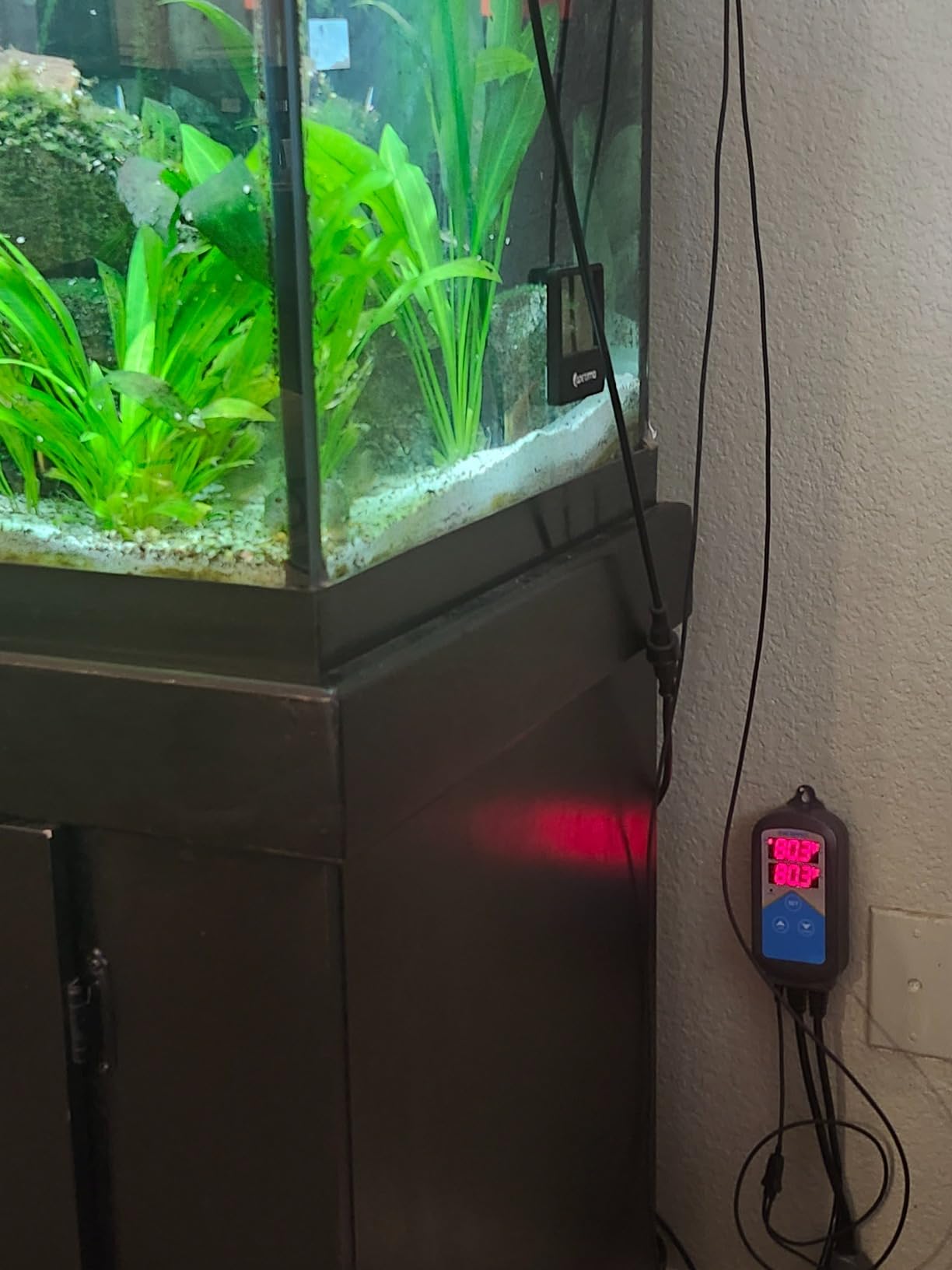 Inkbird ITC-306A WiFi Temperature Controller, Wi-Fi Aquarium Thermostat Heater Controller customer photo 2