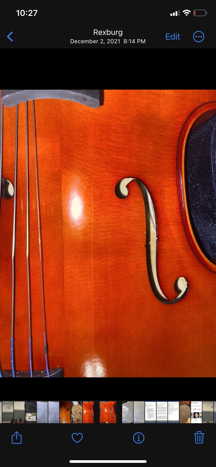 D Z Strad Handmade Student Cello Model 101 with Case, Bow and Rosin (4/4 - Full Size) customer photo 3