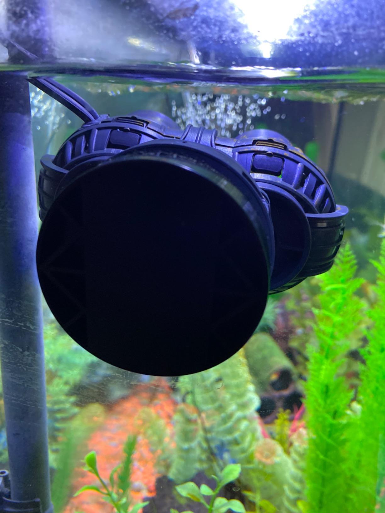 FREESEA Aquarium Circulation Pump Wave Maker Power Head with Magnetic Mount Suction for 20-75 Gallon Saltwater Freshwater Tank (1600 GPH, Black) customer photo 1