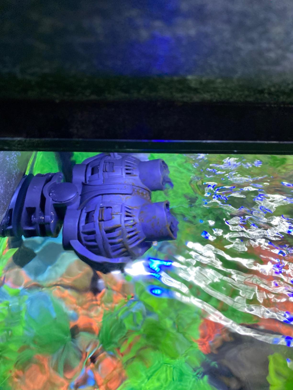 FREESEA Aquarium Circulation Pump Wave Maker Power Head with Magnetic Mount Suction for 20-75 Gallon Saltwater Freshwater Tank (1600 GPH, Black) customer photo 2