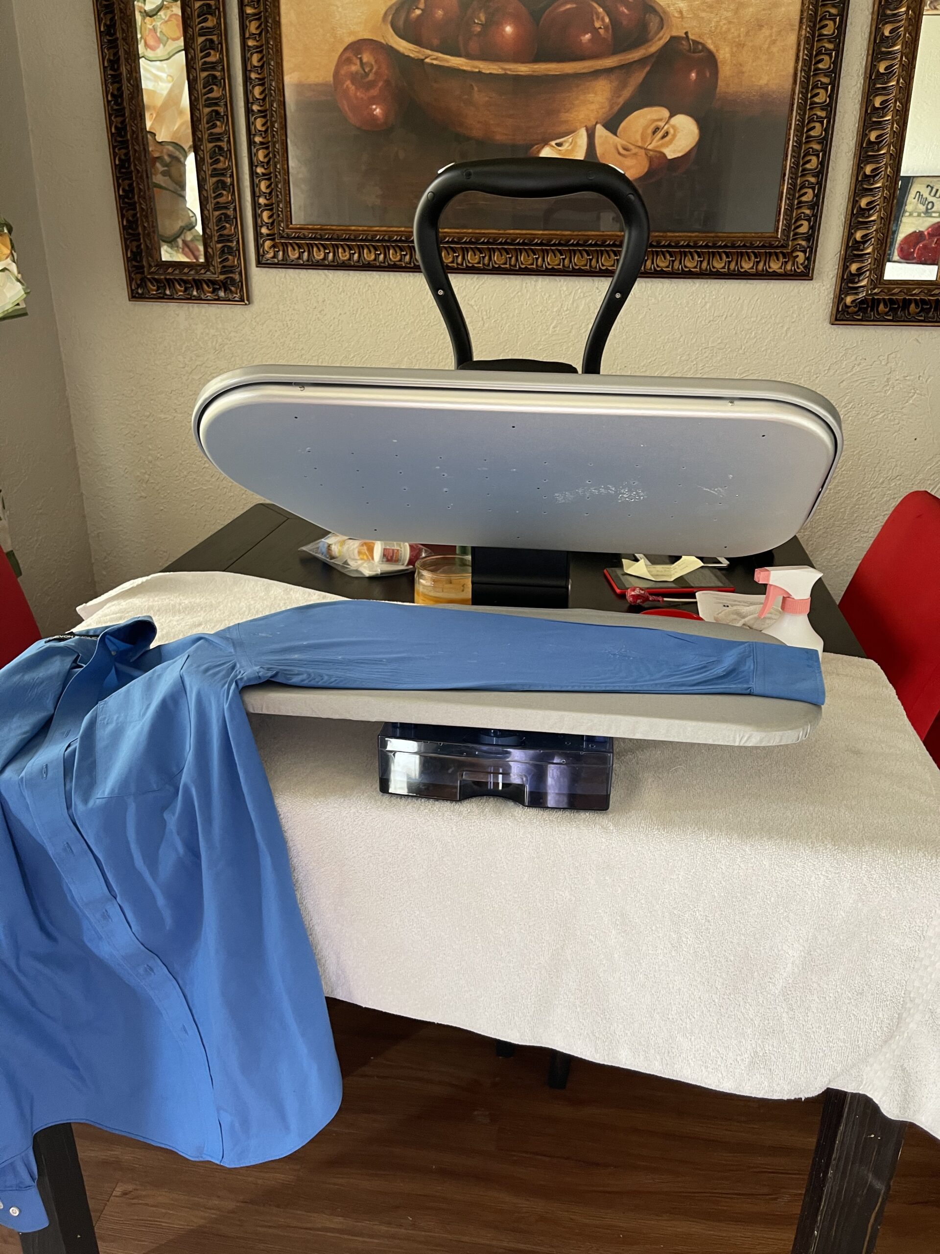 SINGER Intelligent Steam Press (1500W) | Professional Steamer with 26