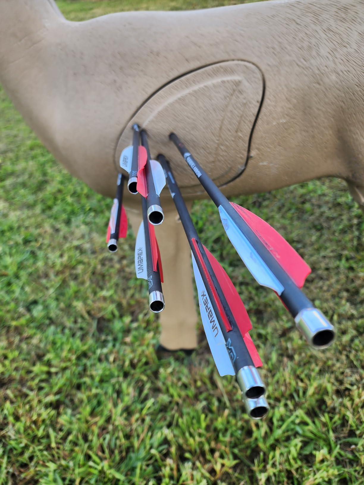 Umarex AirSaber PCP Powered Arrow Gun Air Rifle with 3 Carbon Fiber Arrows customer photo 1