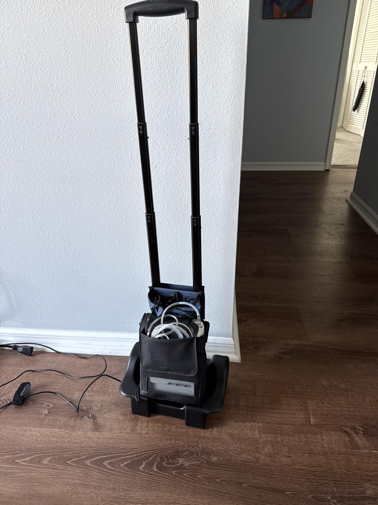Cart - for The G3, G5, and Rove 6 - Collapsible Carrying Cart customer photo 3