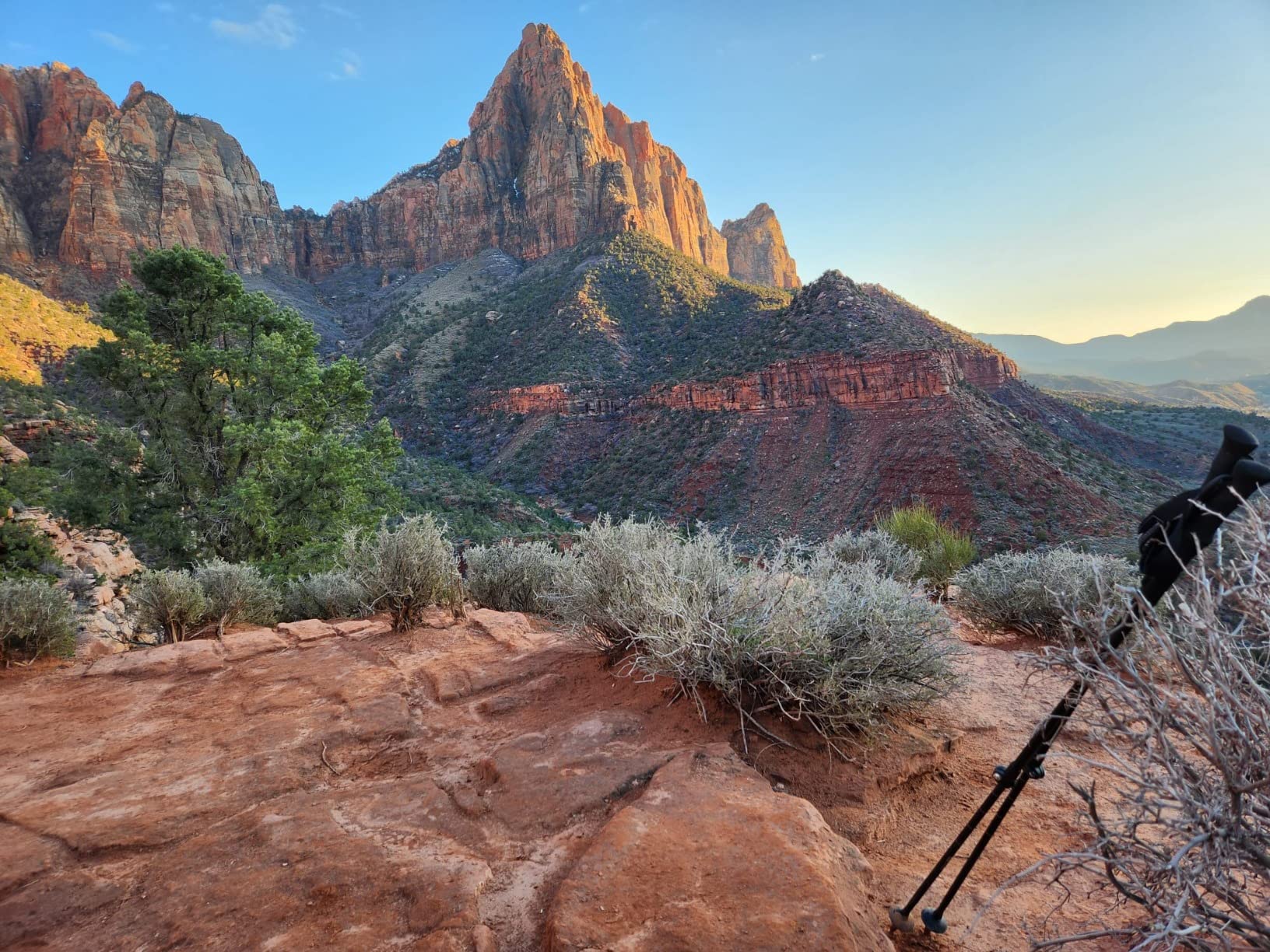 Cascade Mountain Tech Trekking Poles - Carbon Fiber Walking or Hiking Sticks with Quick Adjustable Locks customer photo 2