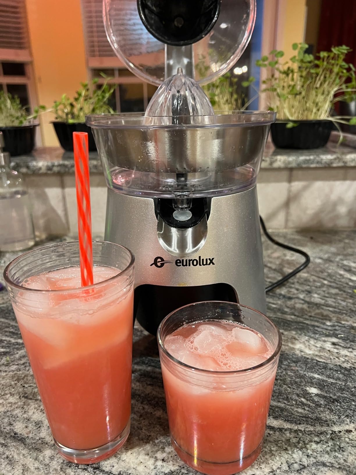 Eurolux Die Cast Stainless Steel Electric Citrus Juicer Squeezer, for Orange, Lemon, Grapefruit | 300 Watts of Power, With 2 Stainless Steel Filter Sizes for Pulp Control customer photo 1
