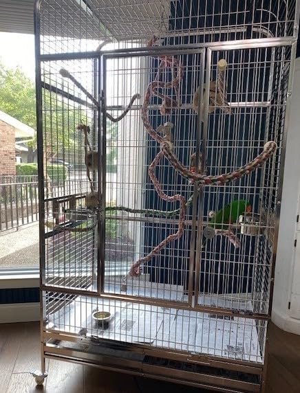 Prevue Pet Products Imperial Extra Large Stainless Steel Bird Cage - Big Birdcage Ideal for Parrots, Cockatoos, Macaws, Included Perch and Cups, Durable Cage with Wheels - Gray, Extra Large customer photo 2