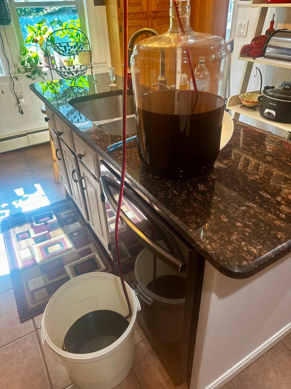Fontana French Cabernet Sauvignon Wine Kit Ingredients - 6 Gallon DIY Kit - Makes 30 Bottles customer photo 2