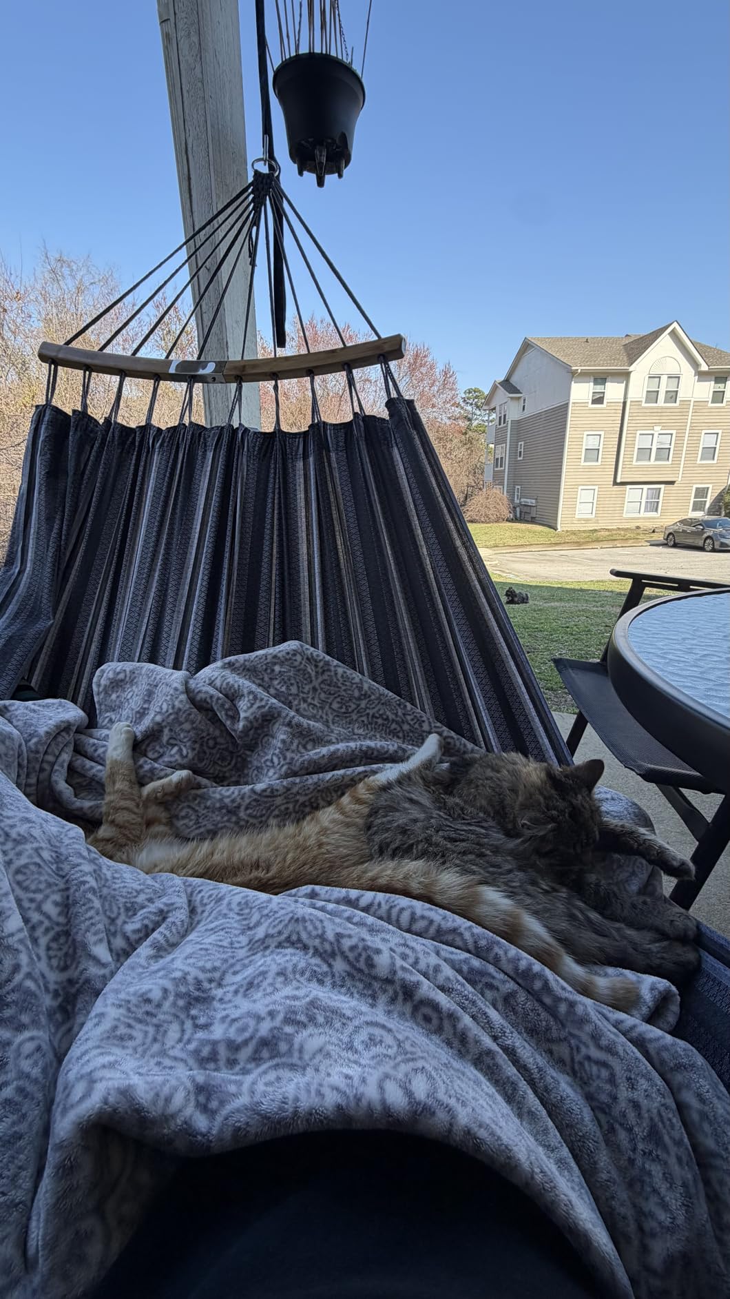 SUNCREAT Hammocks Double Hammock with Curved Spreader Bar, Outdoor Portable Hammock with Carrying Bag & Tree Straps for Bedroom, Patio, Backyard, Balcony, Max 450lbs Capacity, Blue customer photo 1