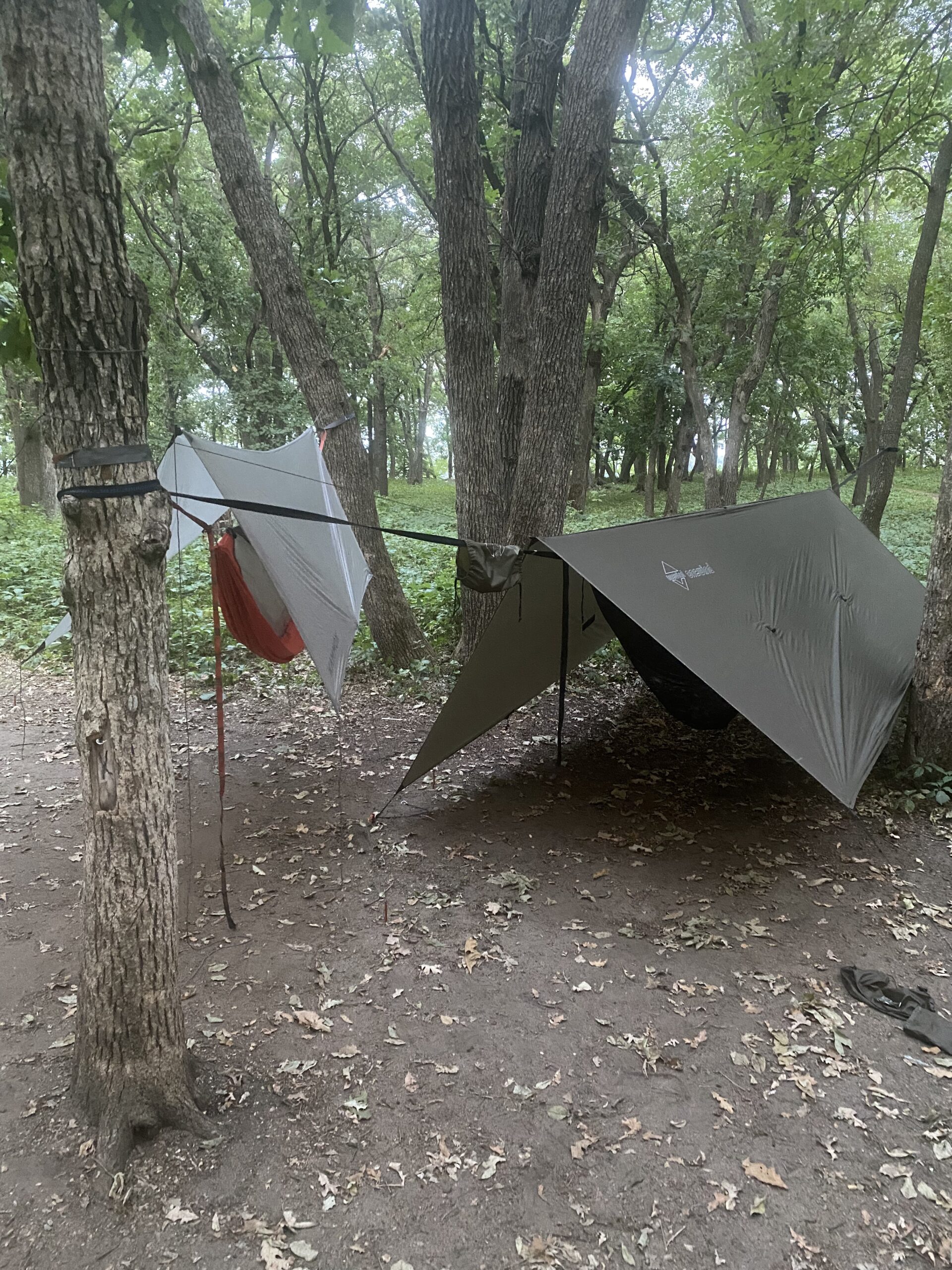 Onewind Premium 12' Camping Double Hammock with Tree Straps and Bug Net for Travel, Camping, Backpacking and Hiking customer photo 2