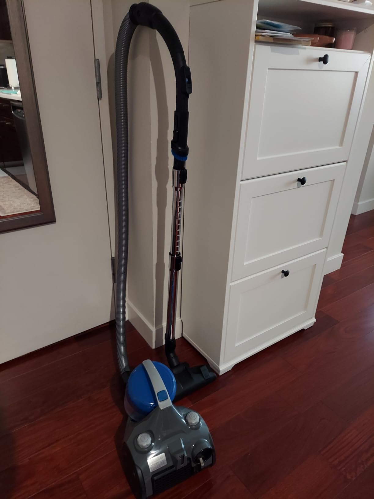 Eureka Bagless Canister Vacuum Cleaner, Lightweight Vac for Carpets and Hard Floors, Red, Whirlwind NEN110D customer photo 2