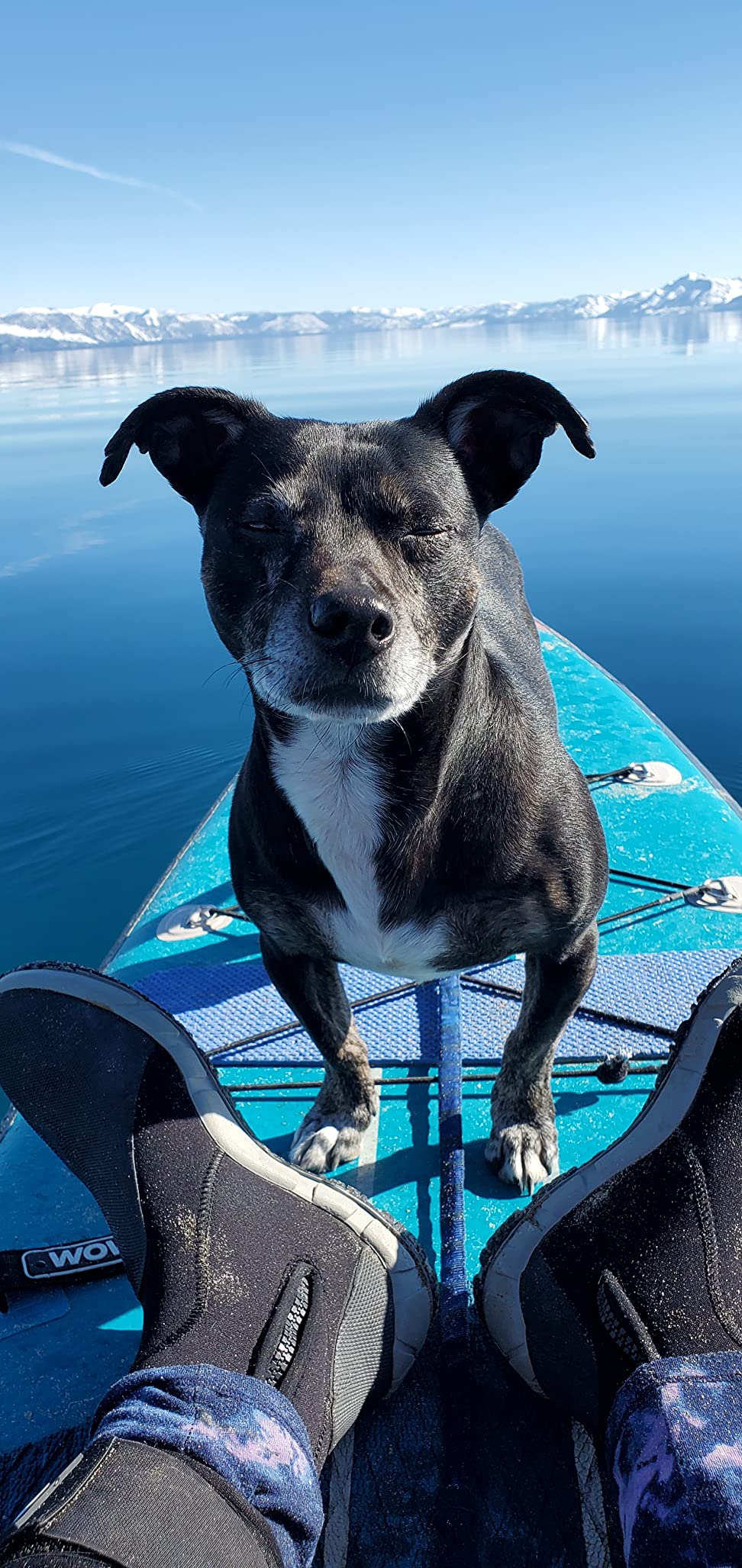 WOWSEA Swift S2 Inflatable Paddle Board, Exploring and Stable SUP Board, Sport & Racing Paddle Board with Action Camera Mount, Nice iSUP Board for Aquatic Exercise and Professional Paddlers (14') customer photo 2