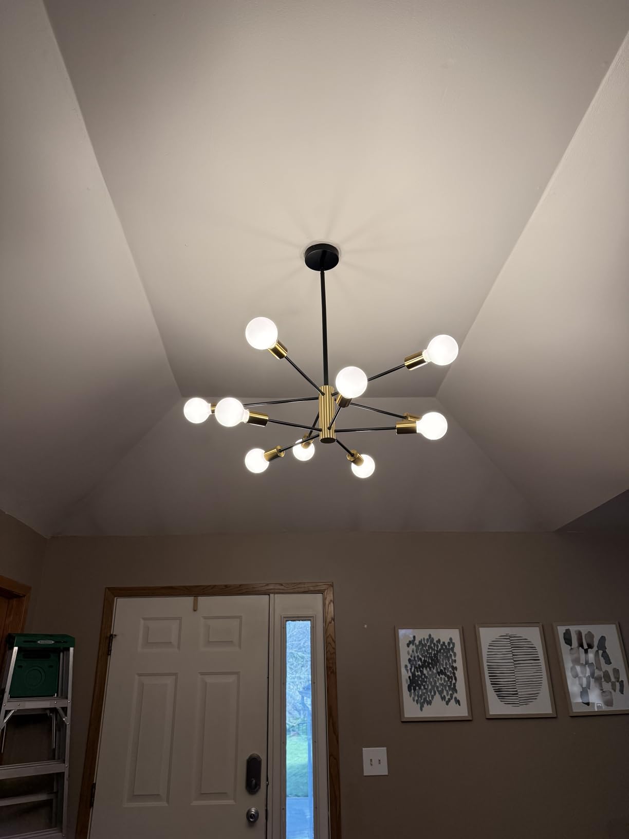 RUIYEY Modern Chandelier Ceiling Light Fixture - Sputnik Chandeliers Gold and Black Farmhouse 12-Light Height Adjustable for Dining Room, Living Room, Kitchen Island customer photo 1