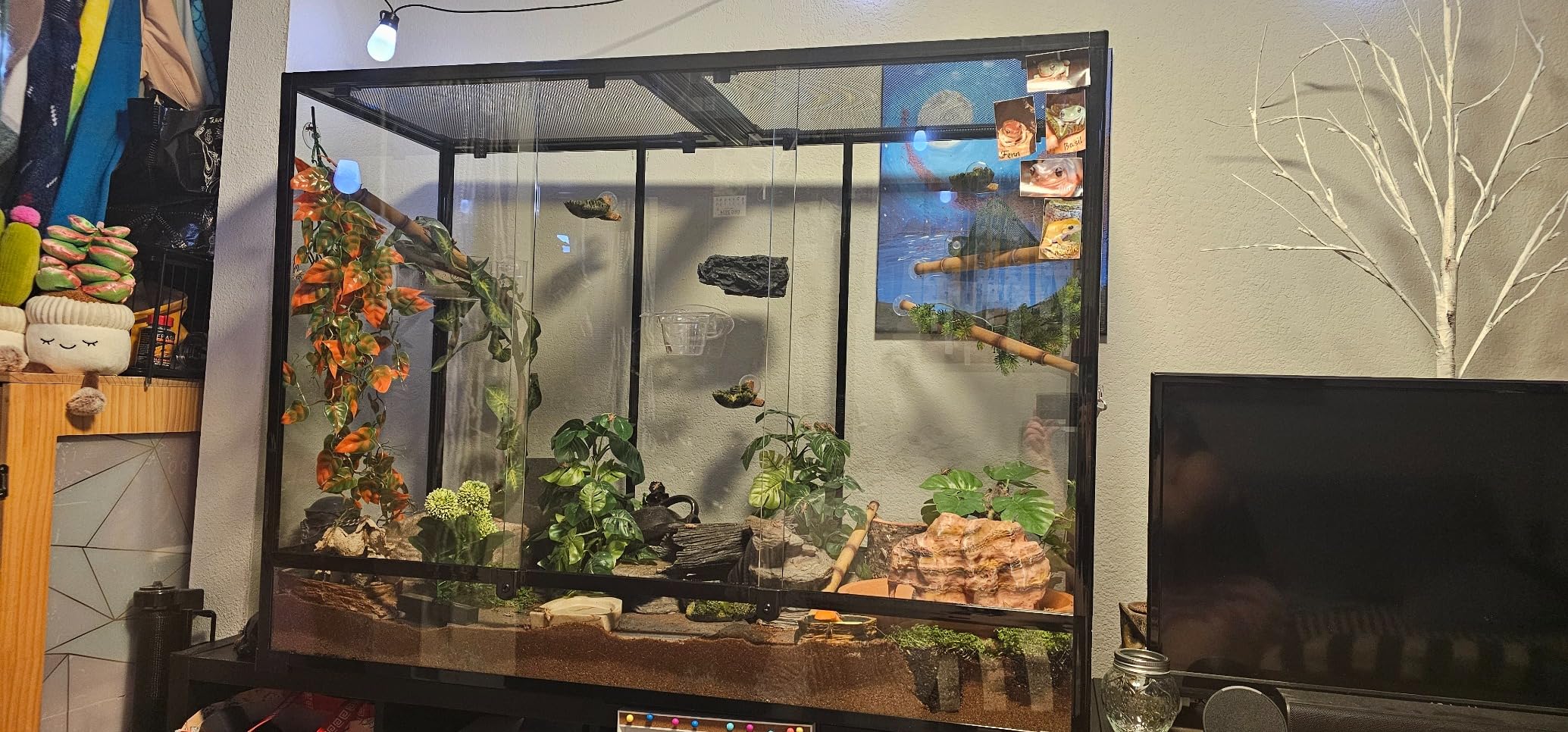 135 Gallon Reptile Terrarium, 48