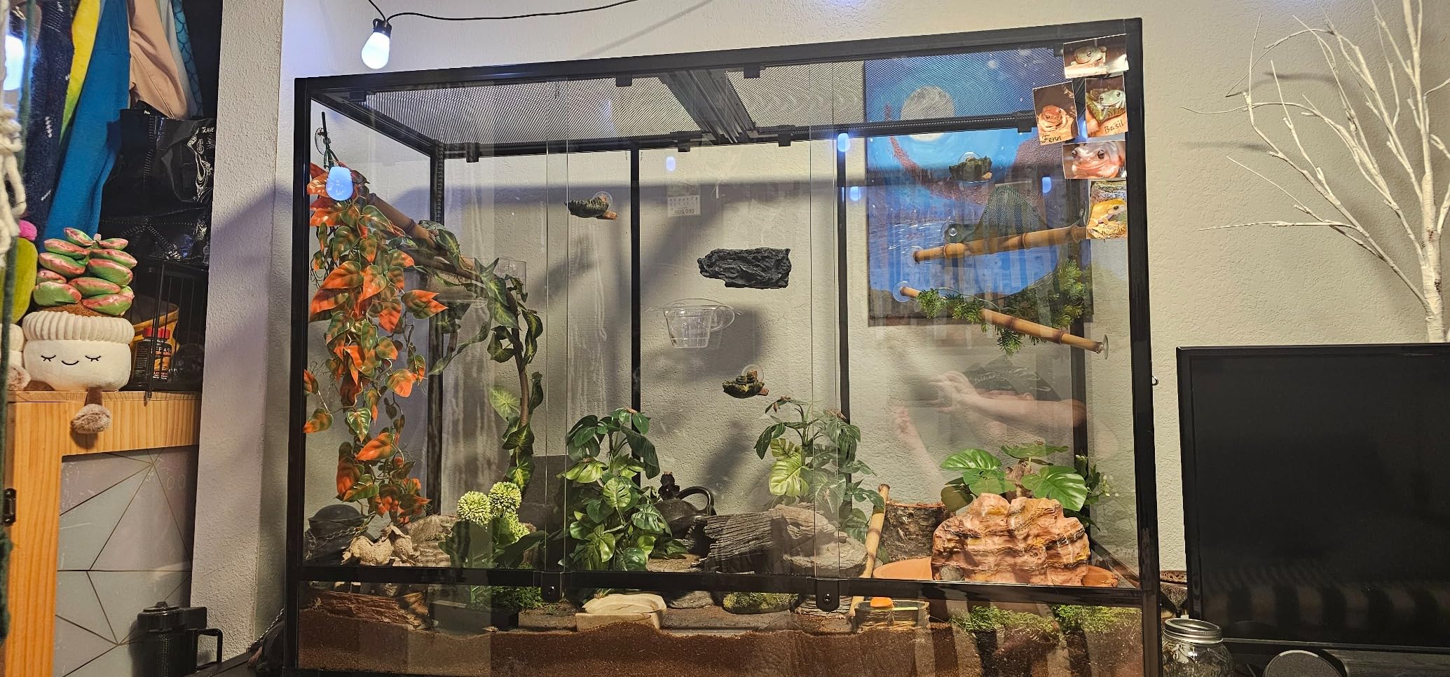 135 Gallon Reptile Terrarium, 48