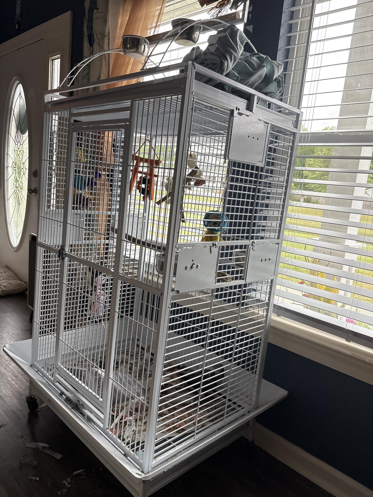 Extra Large Double Ladders Open Play Top Wrought Iron Bird Parrot Parakeet Finch Macaw Cockatoo Cage, Include Seed Guard and Toy Hook On Wheels customer photo 1