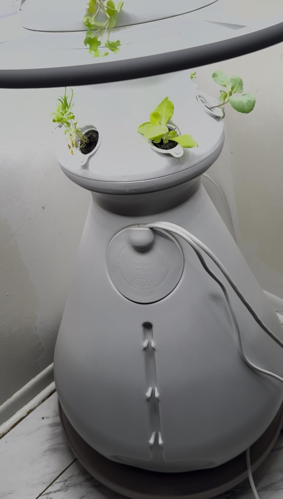 Lettuce Grow Farmstand Starter Kit with Glow Rings and 36 Seedling Credits - Large Hydroponic Growing System customer photo 1