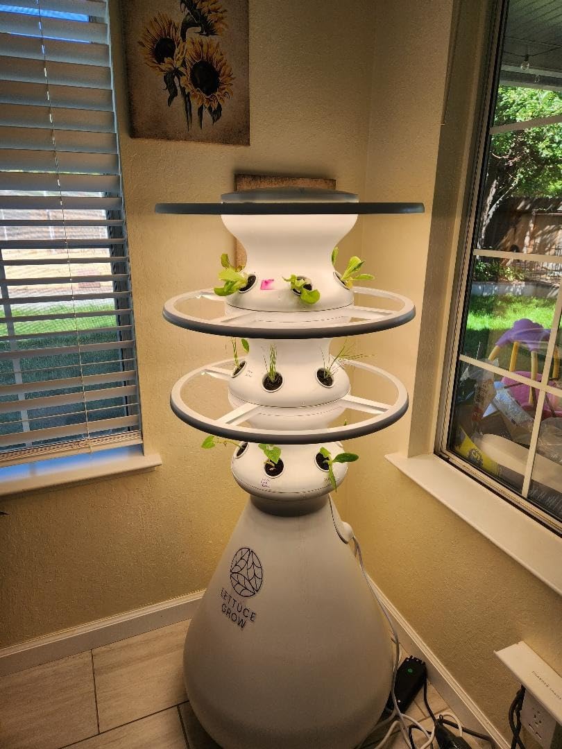 Lettuce Grow Farmstand Starter Kit with Glow Rings and 36 Seedling Credits - Large Hydroponic Growing System customer photo 2