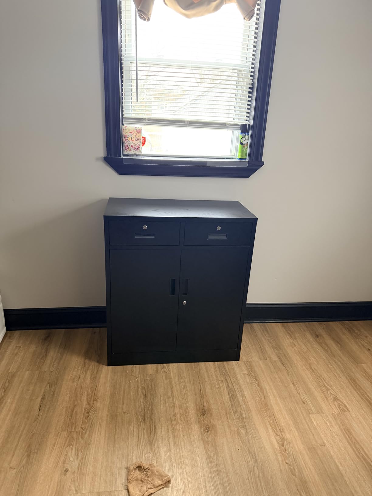 Wanfu Metal Storage Cabinet, 36