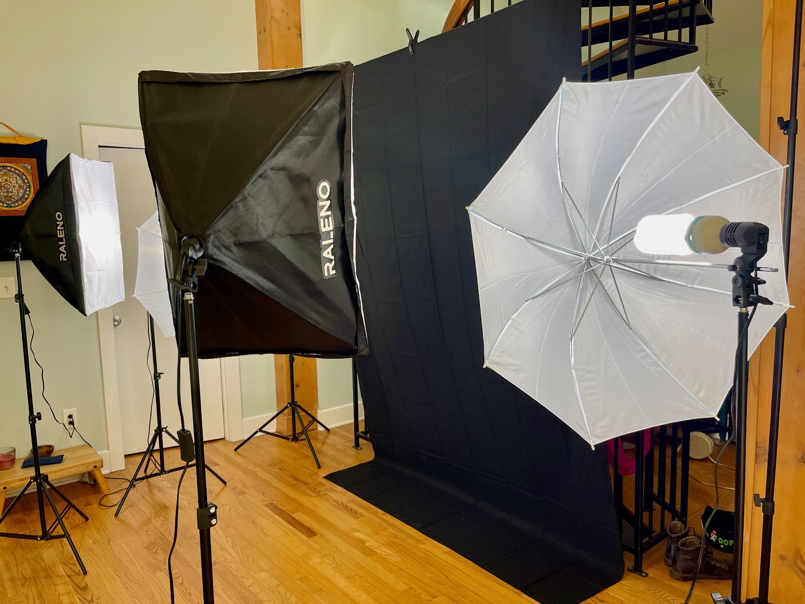 RALENO Photography Lighting Kit, 8.5x10ft Photo Backdrops Stands with 6x9ft Green Screen, 50W LED Bulbs, 5500 K, 97CRI, Umbrellas & Softbox Lighting kit for Studio Portrait Product Photography customer photo 1