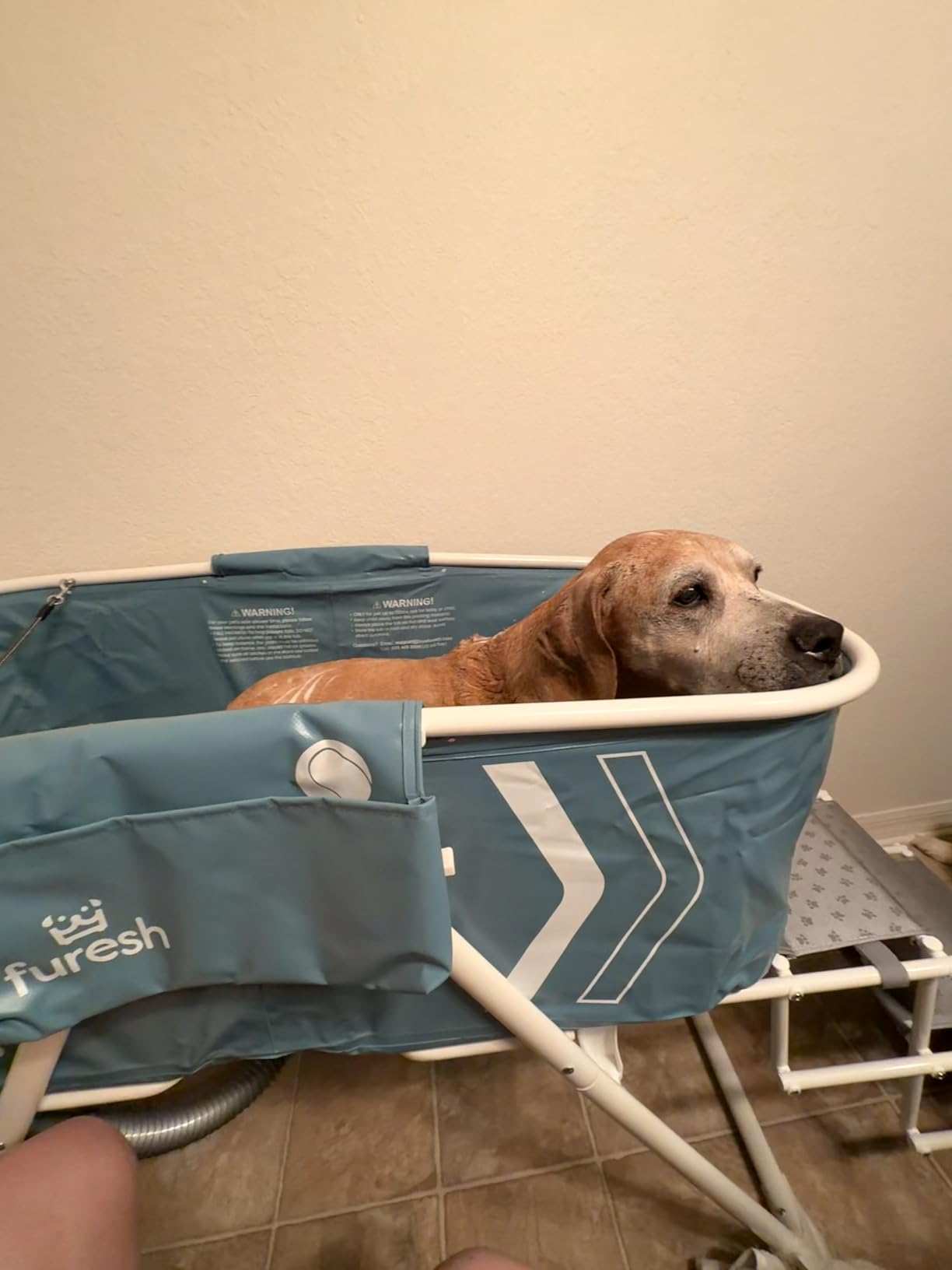 Furesh Big Dipper Dog Bath Tub with Stairs, Elevated Portable Foldable Wash Station with Steps for Bathing, Shower and Grooming, Indoor, Outdoor, for Medium to Large Size Dogs customer photo 1