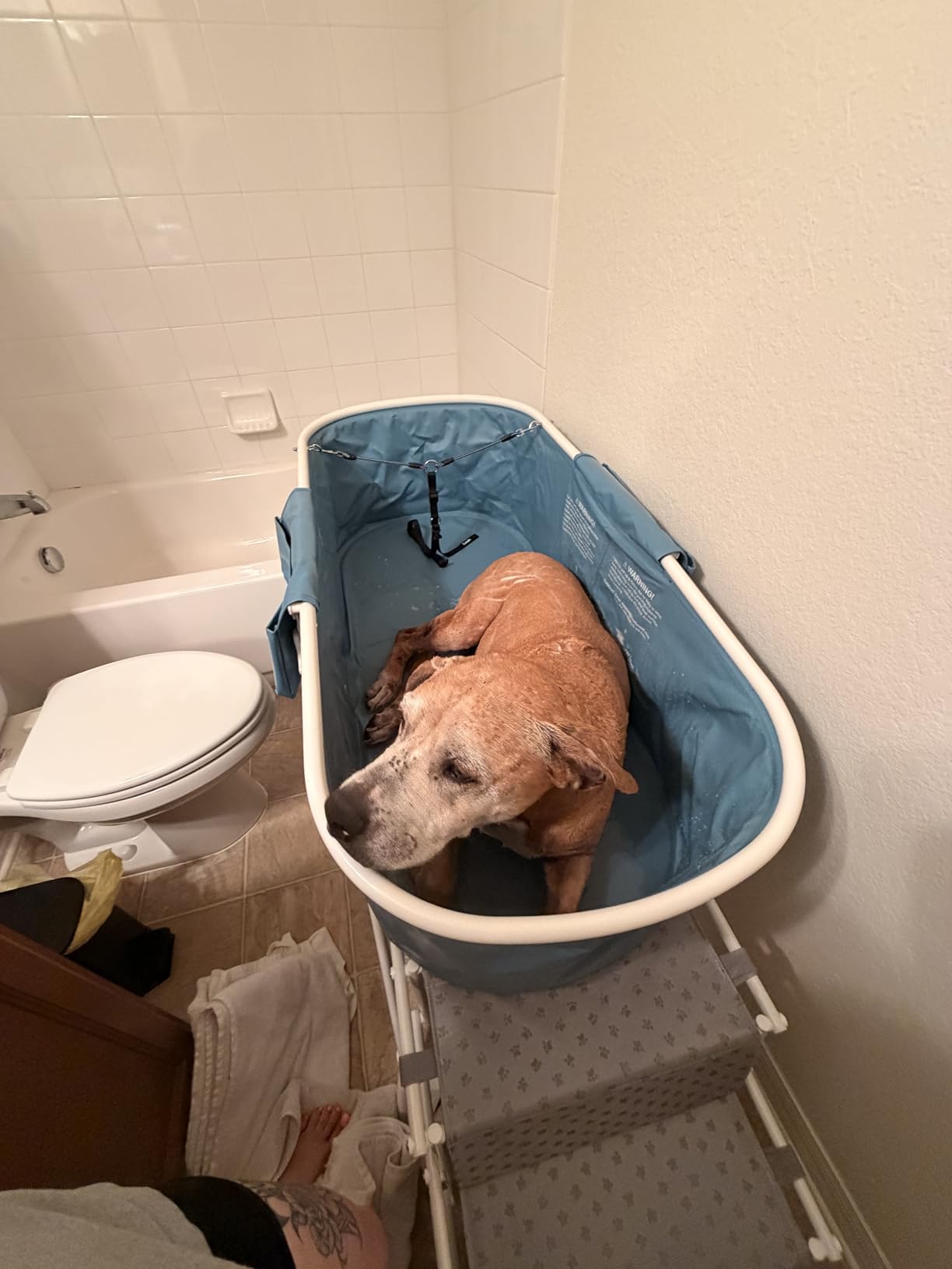 Furesh Big Dipper Dog Bath Tub with Stairs, Elevated Portable Foldable Wash Station with Steps for Bathing, Shower and Grooming, Indoor, Outdoor, for Medium to Large Size Dogs customer photo 2