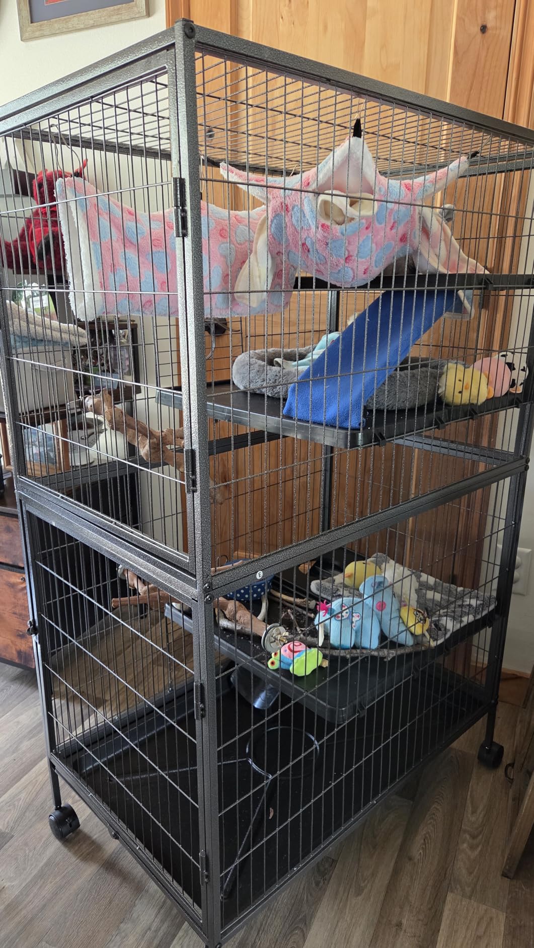HABUTWAY 50''H Metal Small Animal Cages, Rolling Chinchilla Cage with Removable Ramps, Lagre Cage for Chinchillas/Guinea Pigs/Rabbit, Ferret Cages with Hammock & 5 Tiers, Black customer photo 1