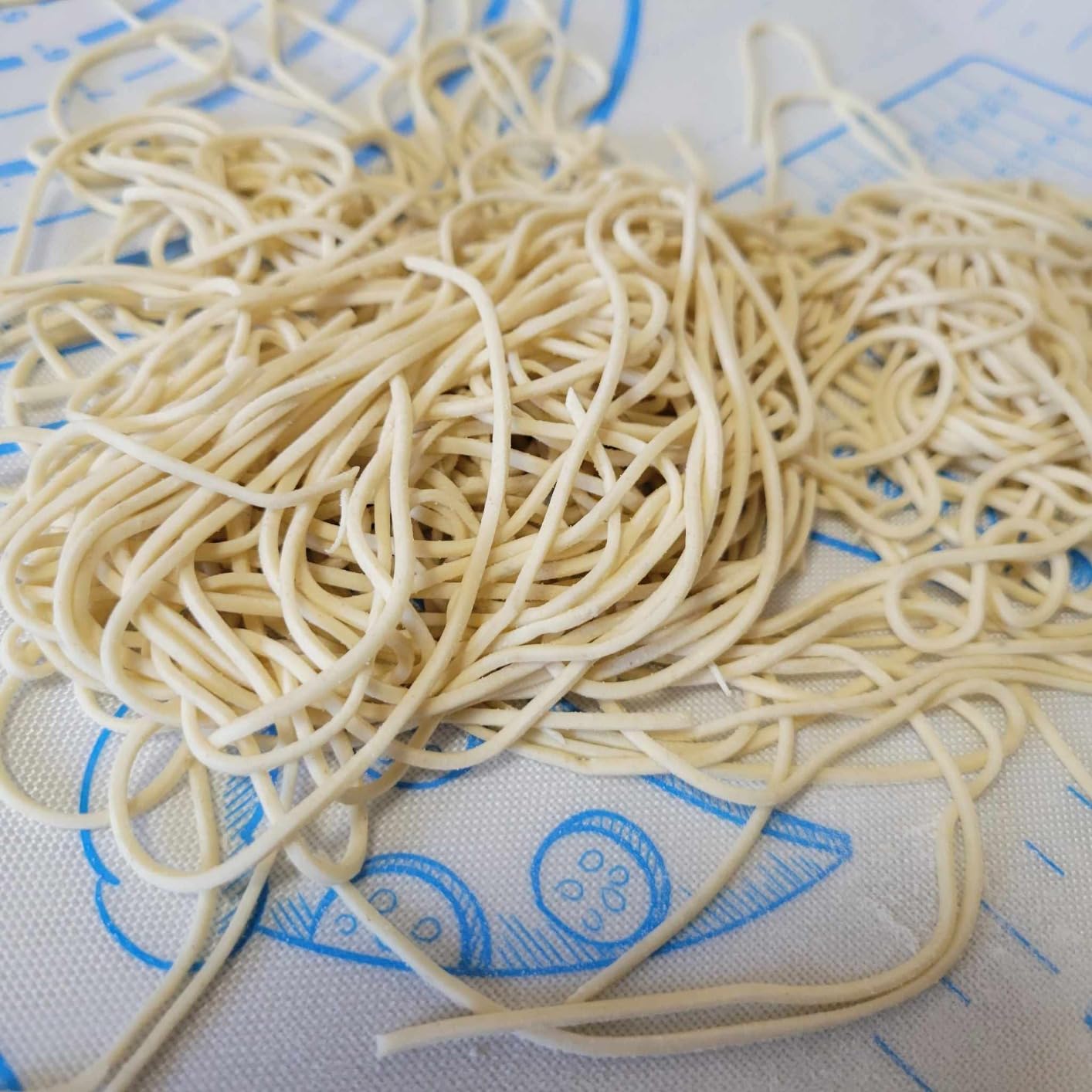 WICHEMI Electric Pasta Maker Machine 3 IN1 Pasta Dough Spaghetti Roller Noodle Pressing Machine Stainless Steel 135W for Home Family Use (2.5mm round noodle+4mm flat noodle+9mm flat noodle) customer photo 2