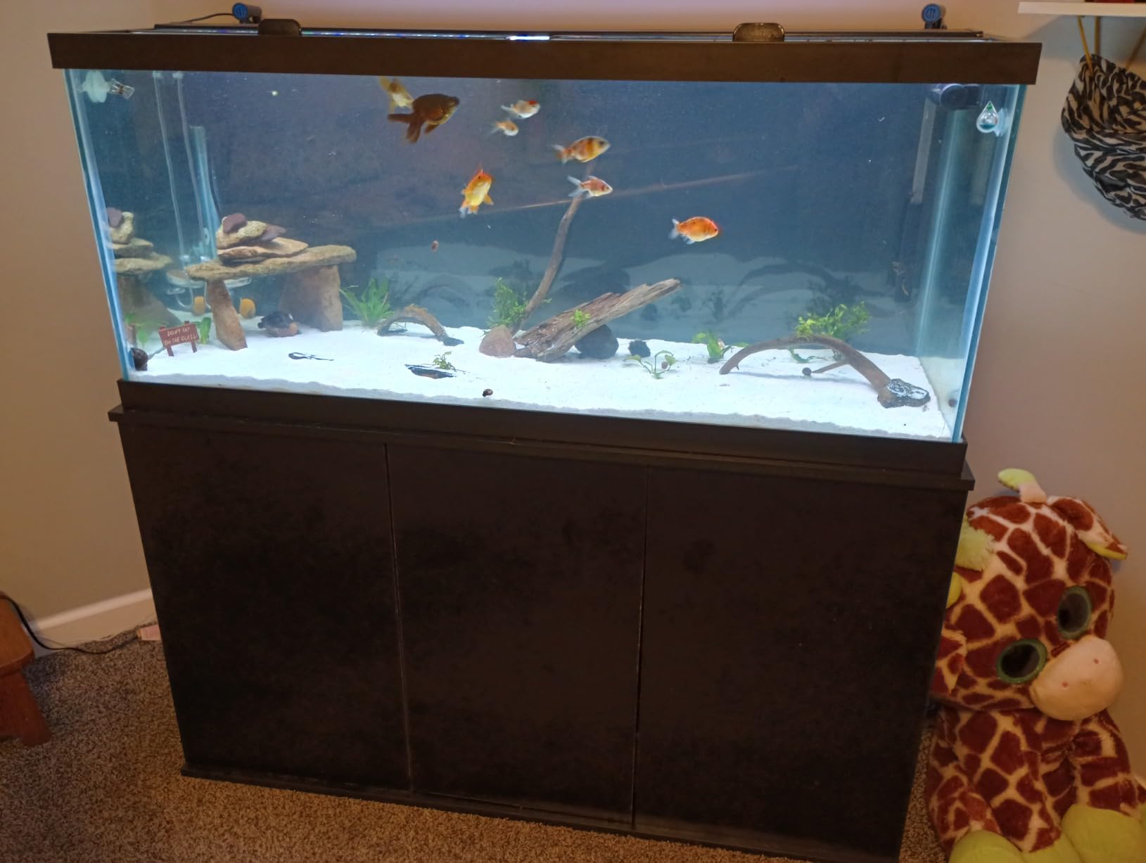 hygger Aquarium Wave Maker, Adjustable Cross Flow Pump with LED Display Controller customer photo 2
