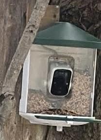 HARYMOR Bird Feeder with Camera with AI Identify Birds Species Solar Powered, Smart Bird House with Cam, 2K HD Video Live Stream, Instant Arrival Alerts customer photo 1