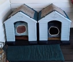 Elevon Plastic Dog House, Insulated Doghouse Puppy Shelter, Water Resistant Easy Assembly Sturdy Dog Kennel with Elevated Floor and Air Vents customer photo 2