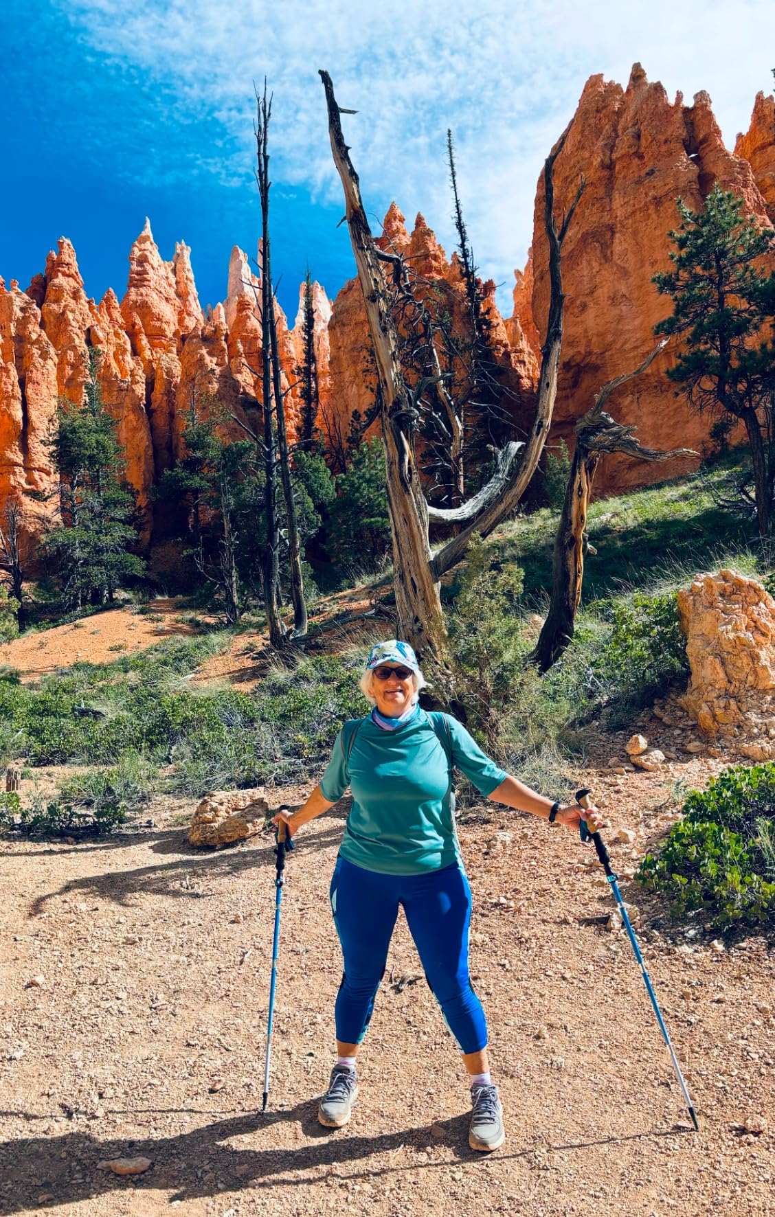 KINGGEAR TPC 100% Carbon Fiber Hiking Poles, Telescopic Retractable Nordic Trekking Poles customer photo 2