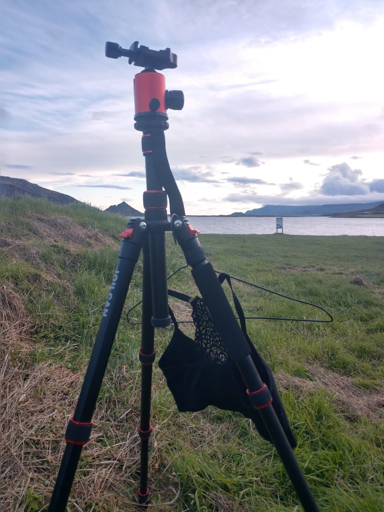 80/85 inches Heavy Duty Tripod for Camera and Phone, 85