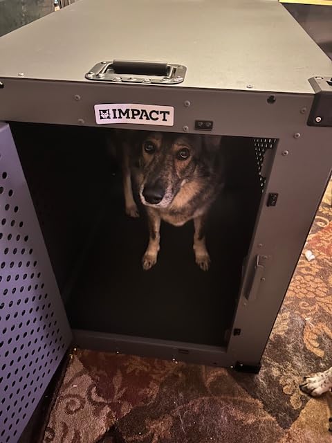 Impact Indestructible High Anxiety Dog Crate for Extra Large Dogs - Heavy Duty Escape Proof Indoor Dog Kennel with Powder-Coated Aluminum - Ideal for Escape Artists (Gray 40