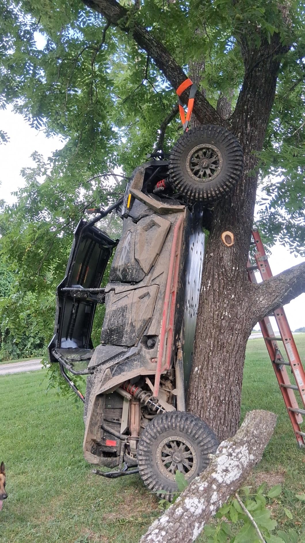 Rough Country 4,500 LB UTV/ATV Winch - ProSeries 1.4HP Electric Winch customer photo 1