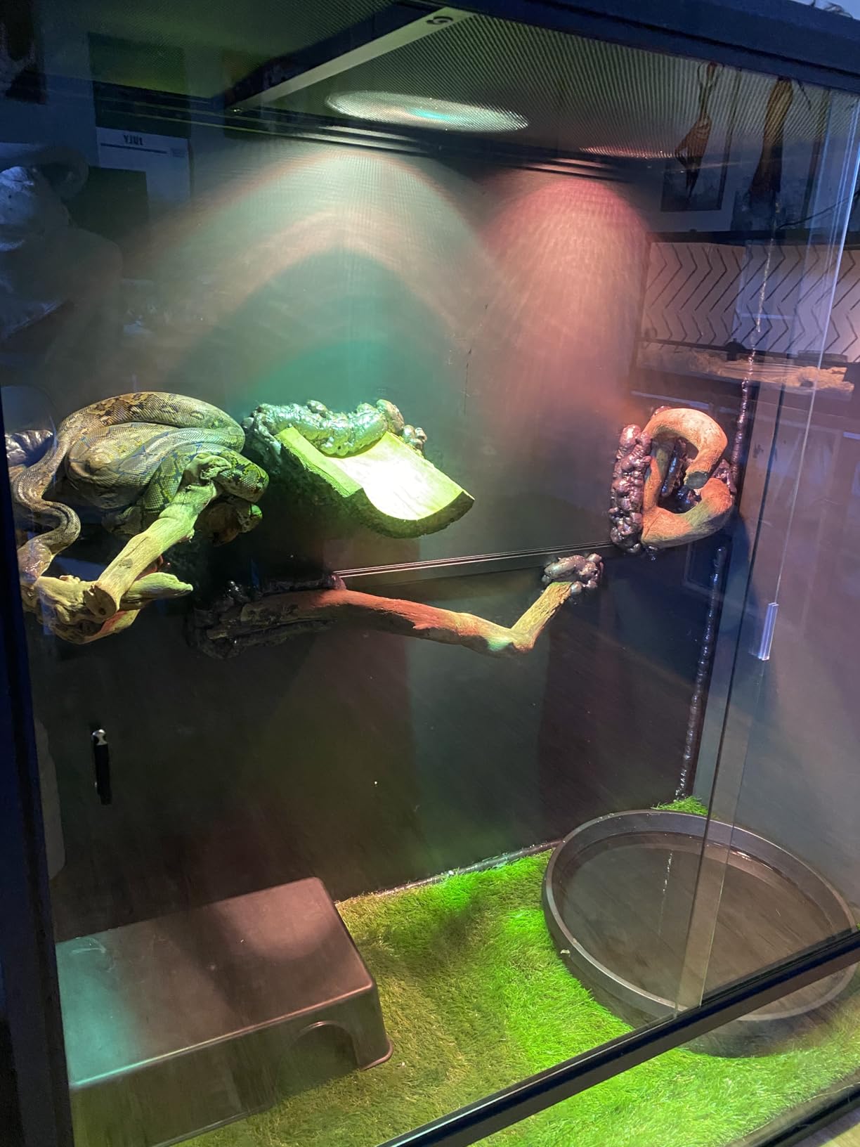 Reptile Tank 230 Gallon, 48