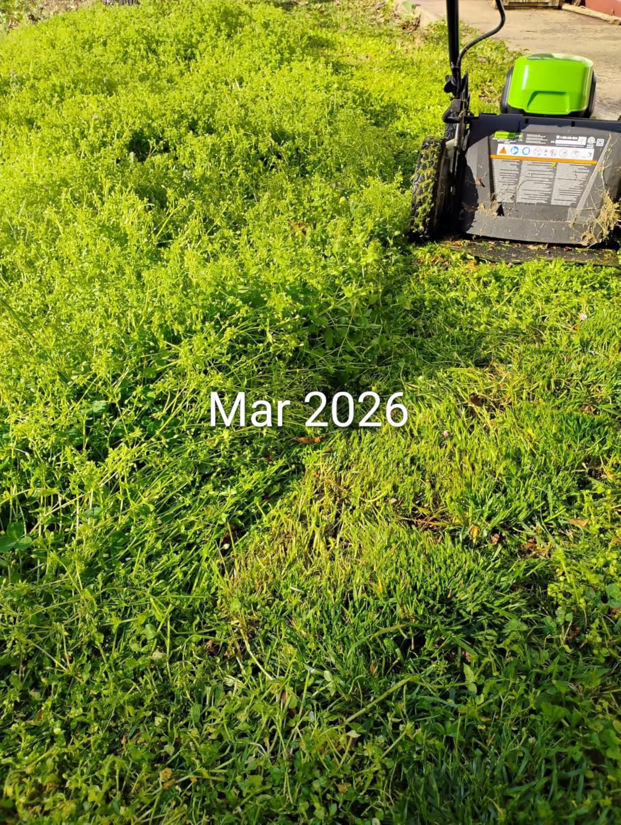 Greenworks 80V 60