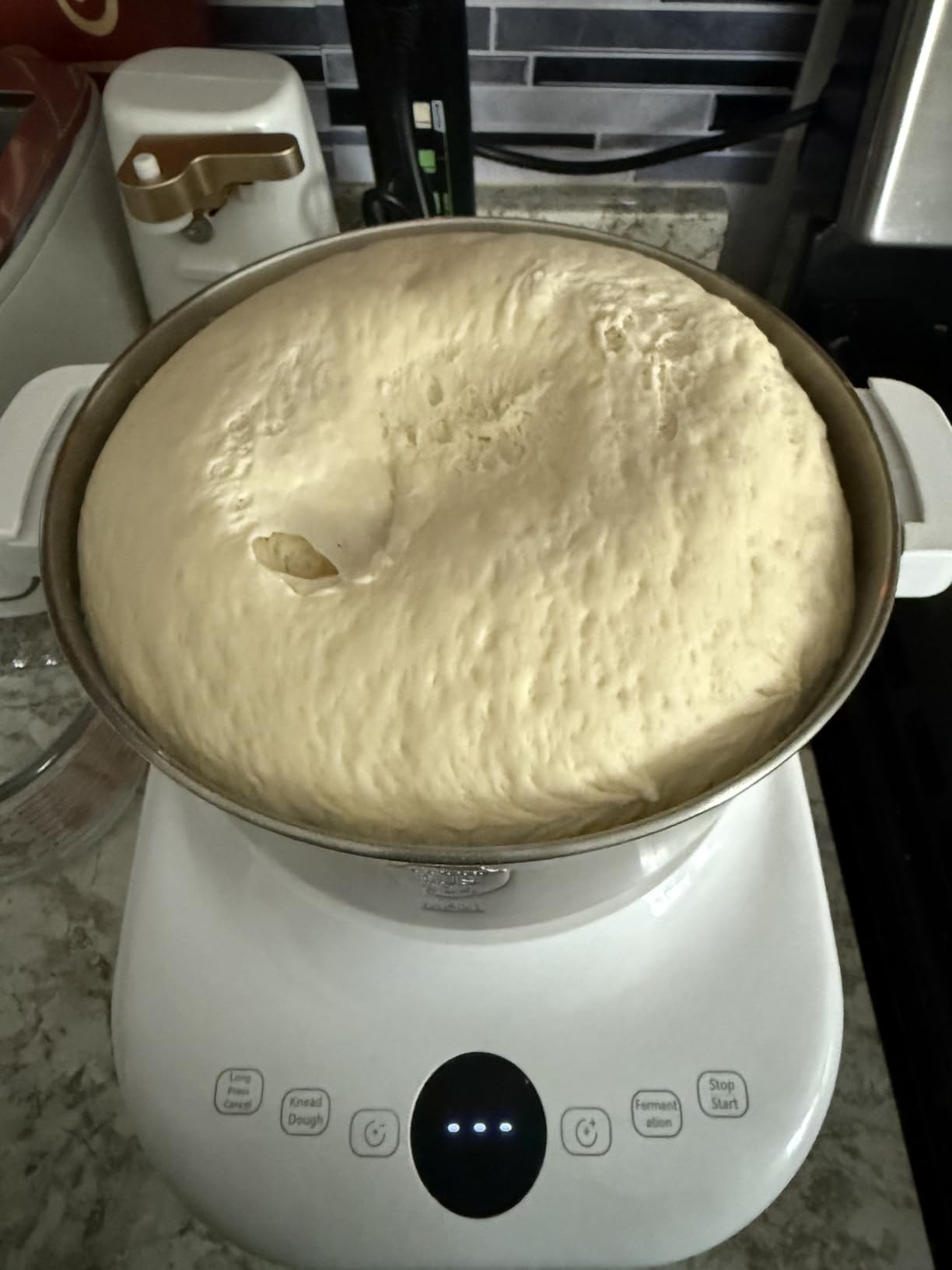 AIZIYO DoughChief 5.3QT Dough Maker with Ferment Function for Pizza and Bread customer photo 1