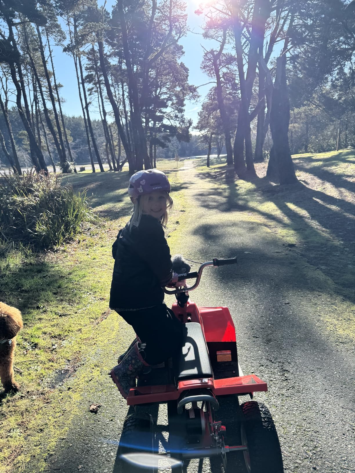 Razor Dirt Quad - 24V Electric 4-Wheeler Ride-On for Kids 8+, Twist-Grip Variable-Speed Acceleration Control, Up to 8 MPH, Forward/Reverse Drive Mode customer photo 1
