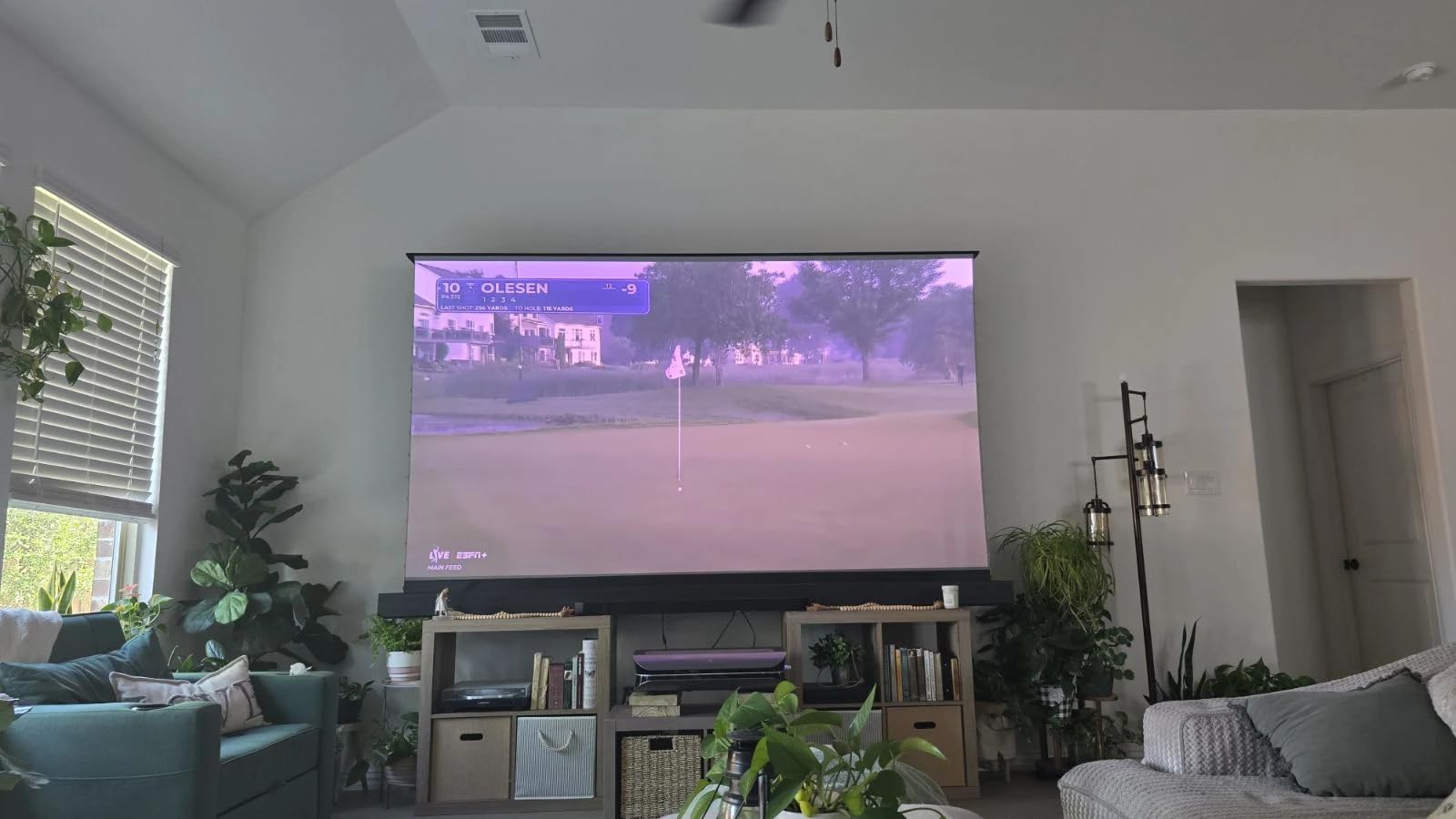 NothingProjector Motorized ALR Screen for Ultra Short Throw Projector, 95% Ambient Light Rejecting, 100 inch, Floor Rising, 4K/8K UHD, Active 3D, Anti Daylight, Electric Retractable Automatic NothPJ customer photo 1