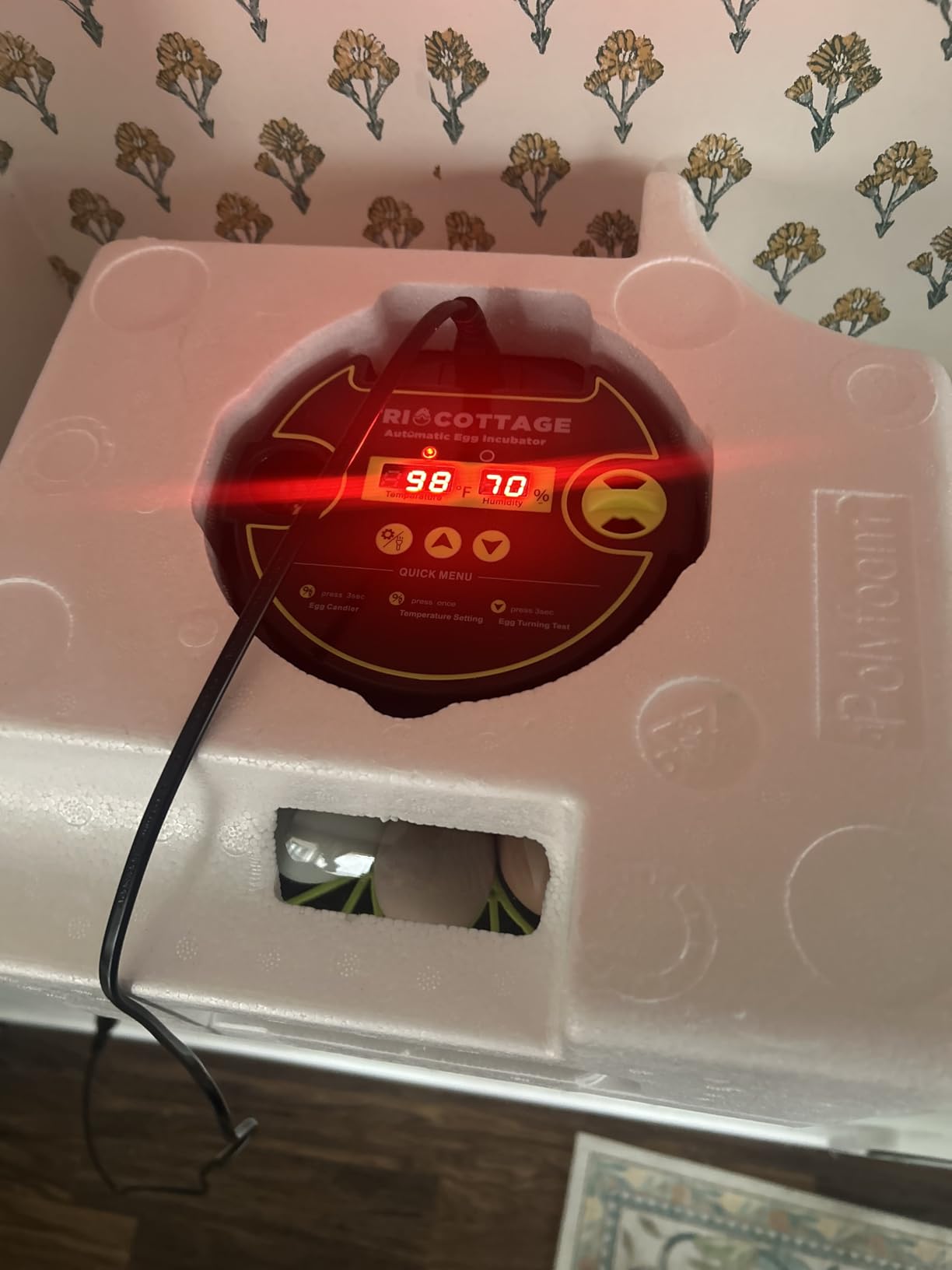 Incubators for Hatching Eggs 12 Egg Incubator with Automatic Egg Turning and Humidity Control, Egg Candler, Auto Water Replenishment, for Chicken Eggs and Quail Egg M12H customer photo 1